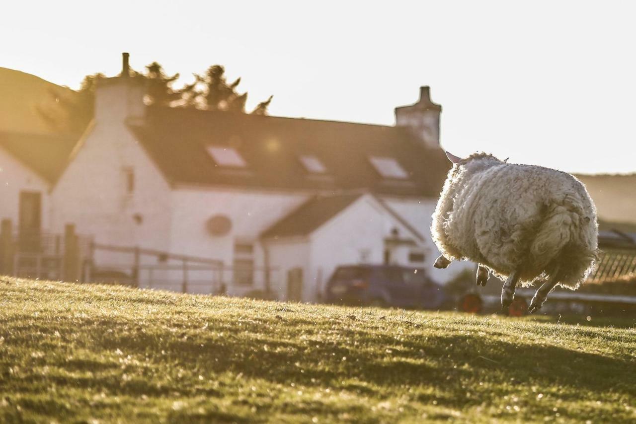Arle Farmhouse Tobermory Exterior foto